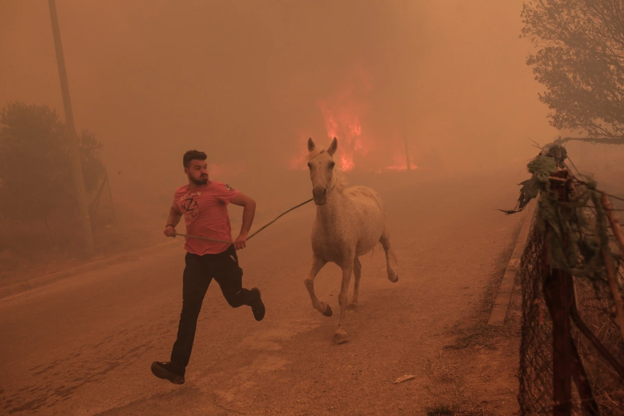 Νεαρός κάτοικος σώζει ζώα από τη φωτιά 