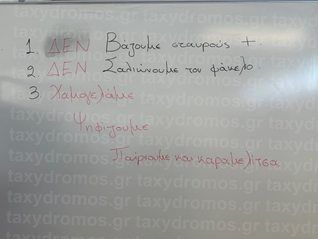 Οδηγίες στους ψηφοφόρους έδωσε δικαστικός αντιπρόσωπος 