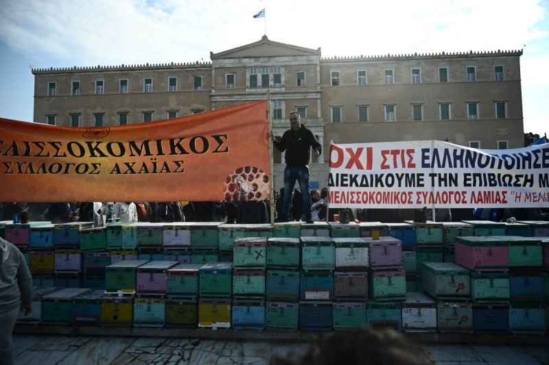 Συγκέντρωση μελισσοκόμων, πορεία από ΠΟΕΔΗΝ, έναρξη πανεκπαιδευτικού συλλαλητηρίου