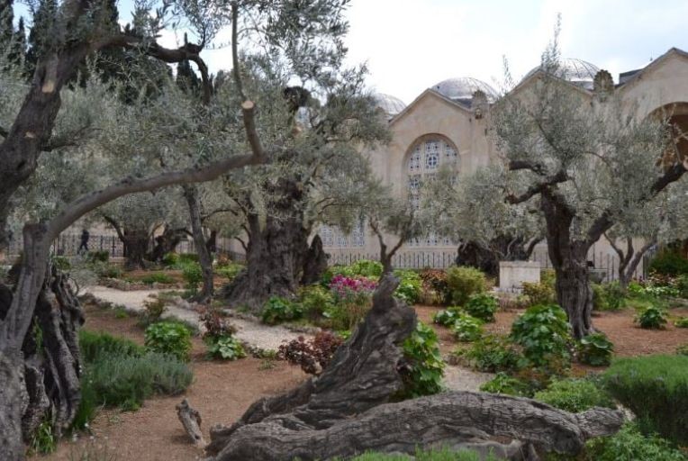 Γεσθημανή: Έτσι είναι σήμερα το τελευταίο μέρος που προσευχήθηκε ο Χριστός πριν την Σταύρωσή του