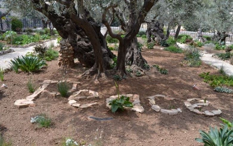 Γεσθημανή: Έτσι είναι σήμερα το τελευταίο μέρος που προσευχήθηκε ο Χριστός πριν την Σταύρωσή του