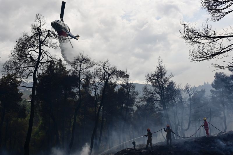 Νέος κανονισμός πυροπροστασίας: Υπό το φόβο των προστίμων οι ιδιοκτήτες ξεριζώνουν ακόμα και δέντρα από τα οικόπεδά τους