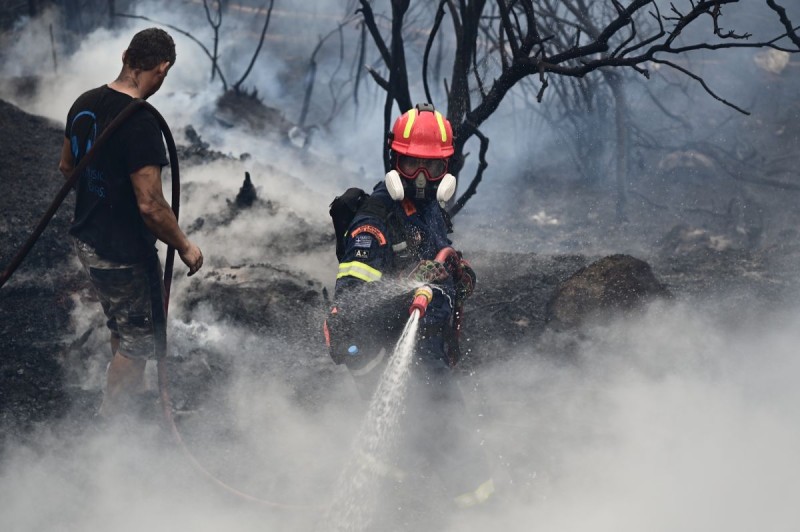 Νέος κανονισμός πυροπροστασίας: Υπό το φόβο των προστίμων οι ιδιοκτήτες ξεριζώνουν ακόμα και δέντρα από τα οικόπεδά τους