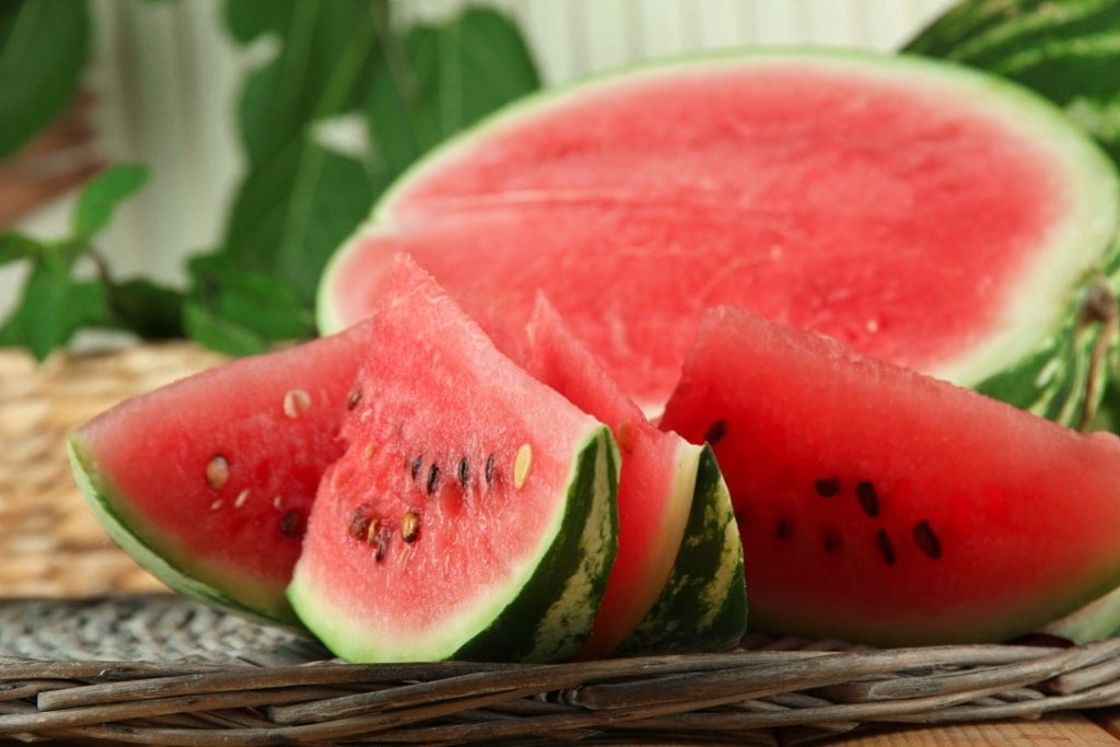 160 watermelon 1024x683 1