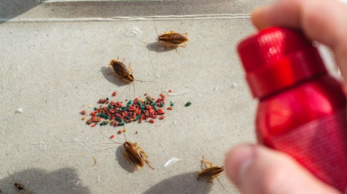 what kills cockroaches instantly 680x382 1