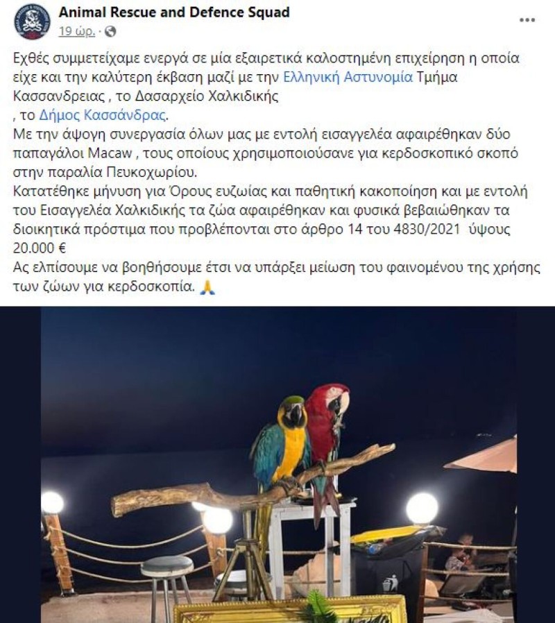 Χαλκιδική: Πρόστιμο 20.000 ευρώ σε ιδιοκτήτη ξενοδοχείου που χρησιμοποιούσε ως «κράχτες» δύο παπαγάλους Macaw
