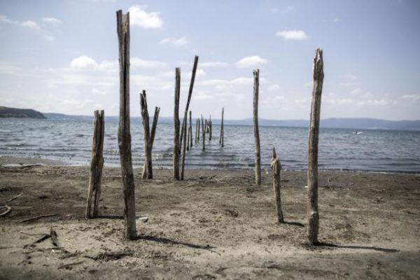 Κλιματική αλλαγή: Στη Σικελία η λειψυδρία ξεραίνει τις καλλιέργειες και αφήνει διψασμένα τα ζώα