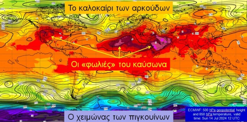 «φωλιές καύσωνα»