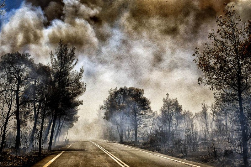 Φωτιά στη Στιμάγκα Κορινθίας