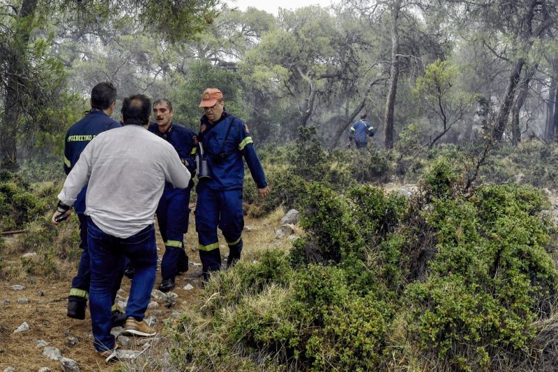 Πυρκαγιά στο Σοφικό: Υποβασταζόμενος ο πυροσβέστης που τραυματίστηκε! (photos)