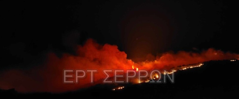 Φωτιά στο Μενοίκιο Όρος: Από το πρωί (10/8) επιχειρούν εναέρια μέσα - Πέντε φωτιές σε μια μέρα στις Σέρρες