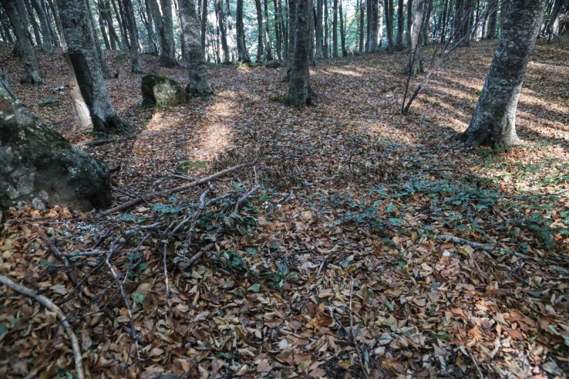 Δυστύχημα στο Όρος Τελέθριο στη Βόρεια Εύβοια